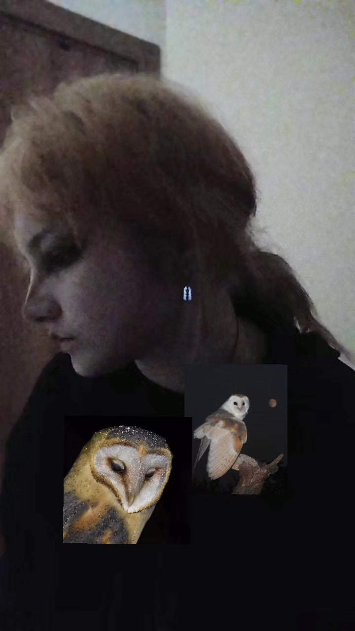 @Çisil