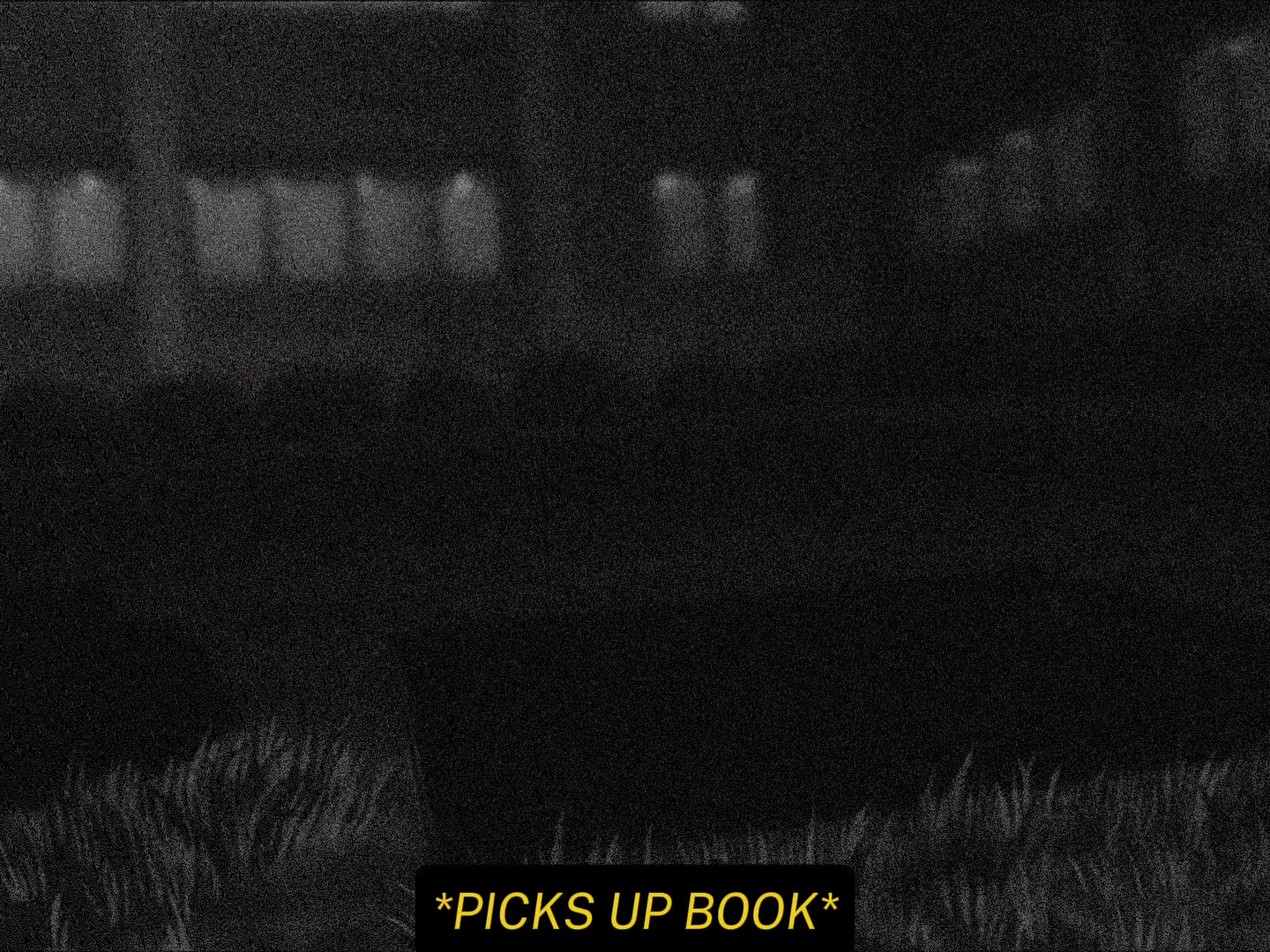 @Zndx