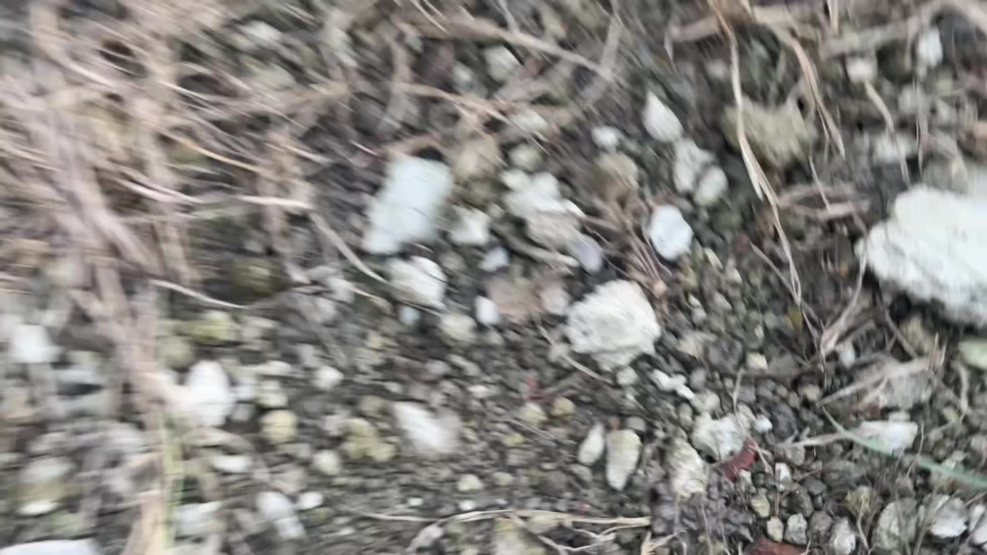 @R