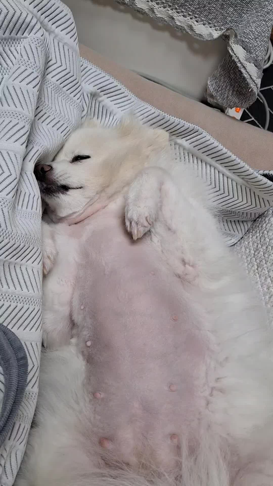 @땡이맘/헤어톡