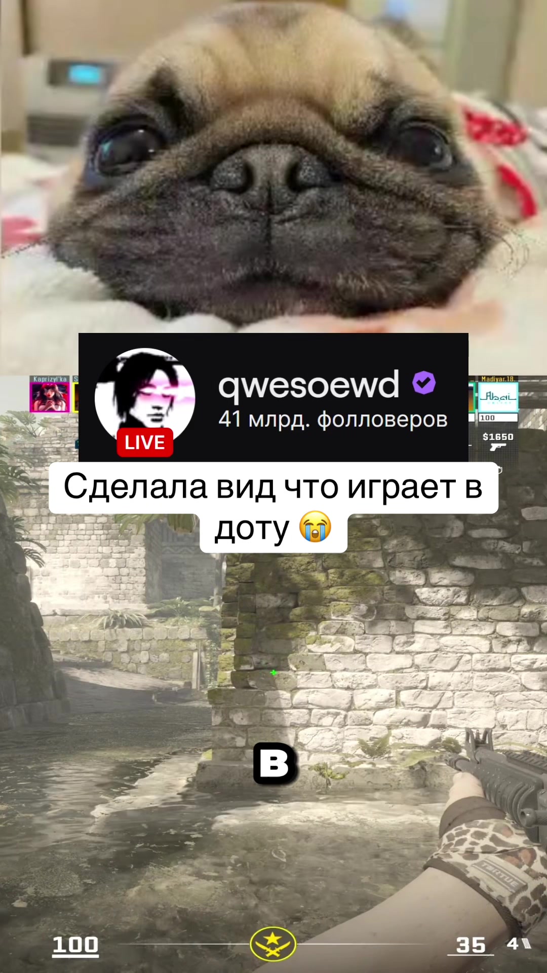 @qwesoewd_official