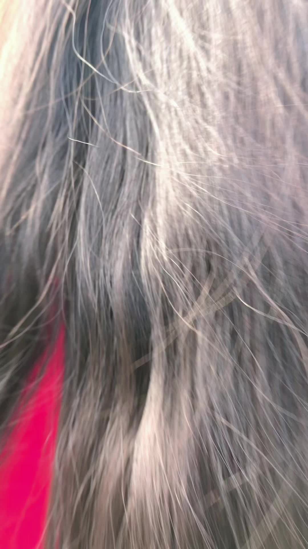 @K☘️