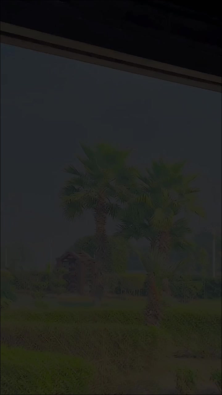 @𓆩𝙎𝘼𝘼𝘿𓆪