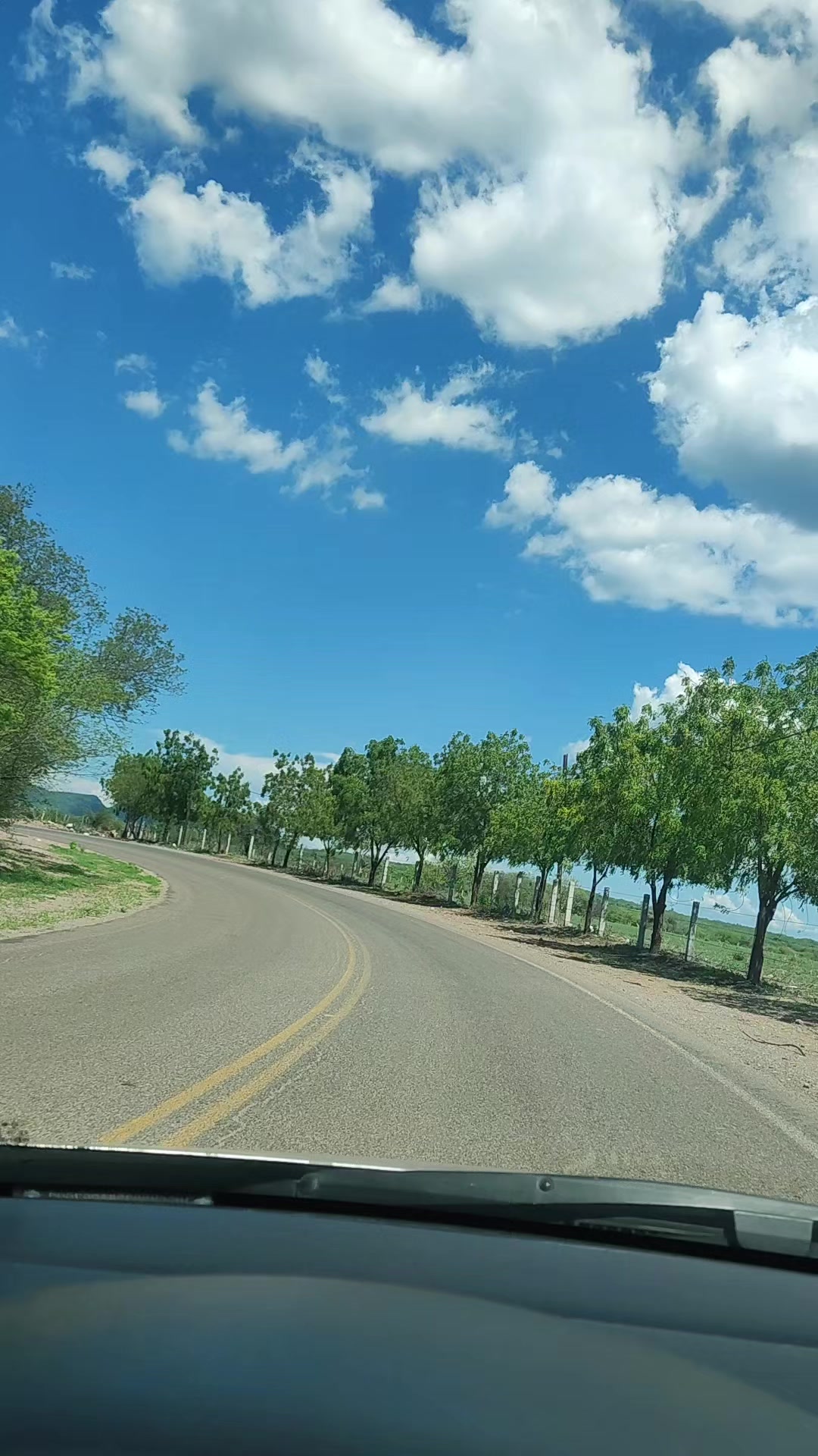 @Que bonito es lo 🐺 bonito🤠