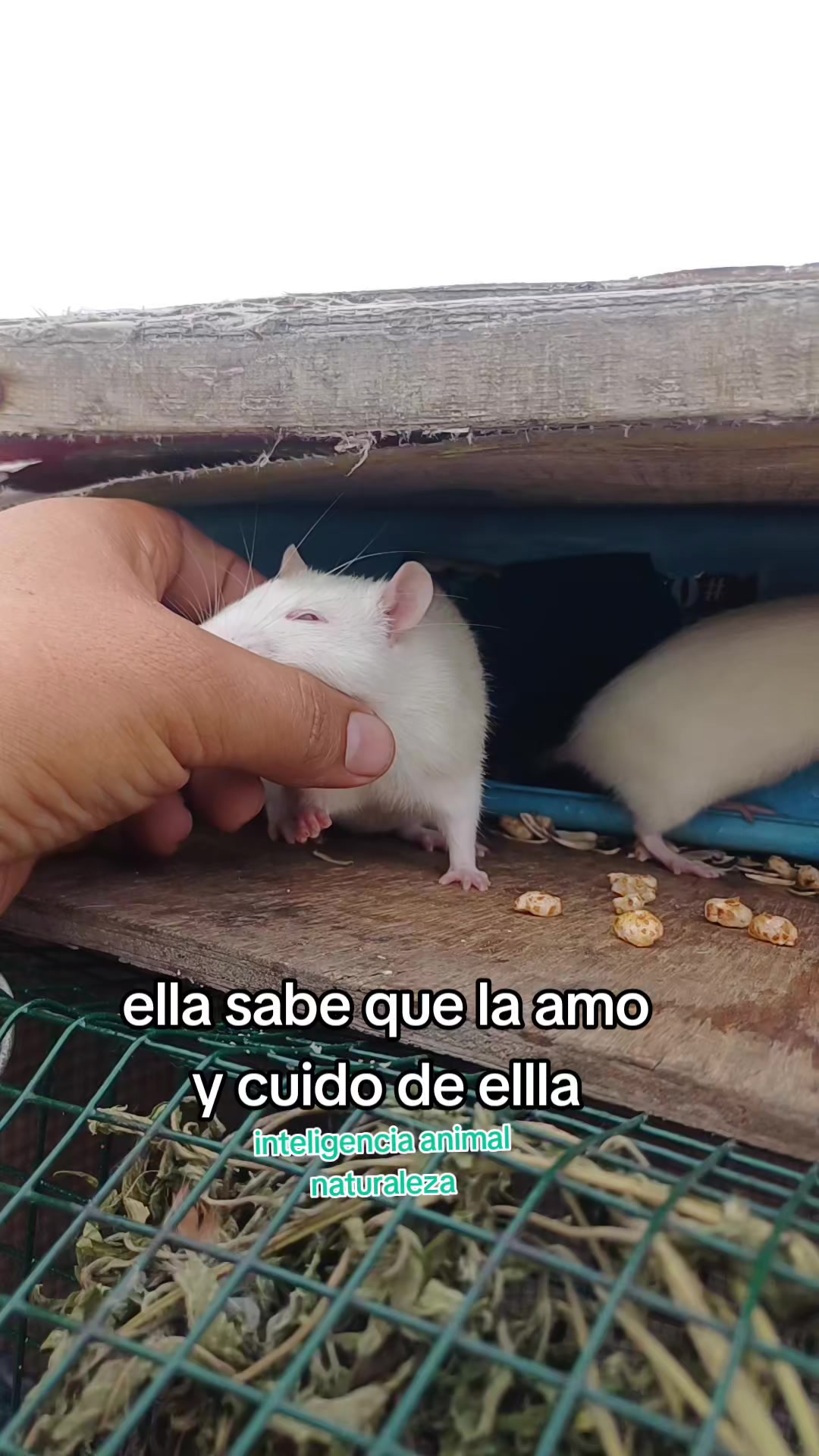 @EltioBaki