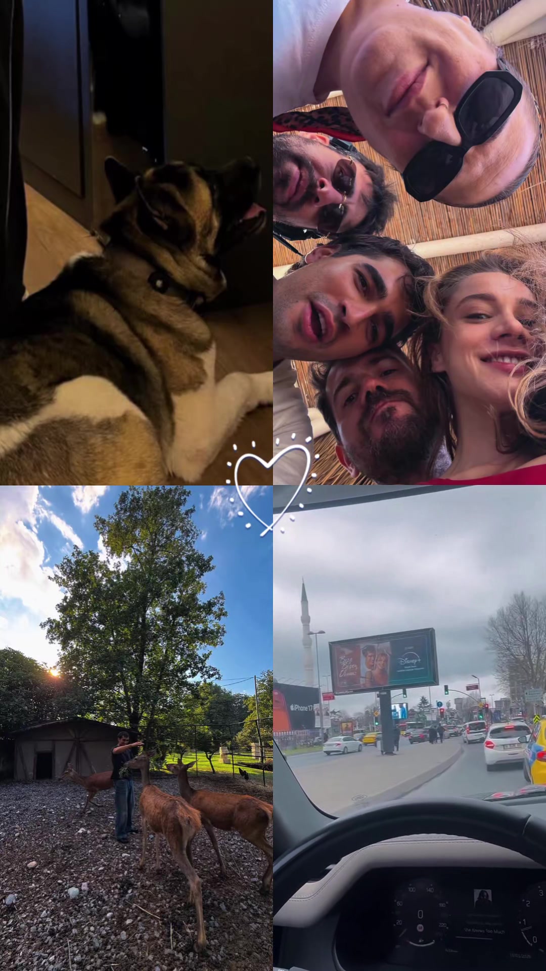 @🌹 Afra + Mert World FC 🐑