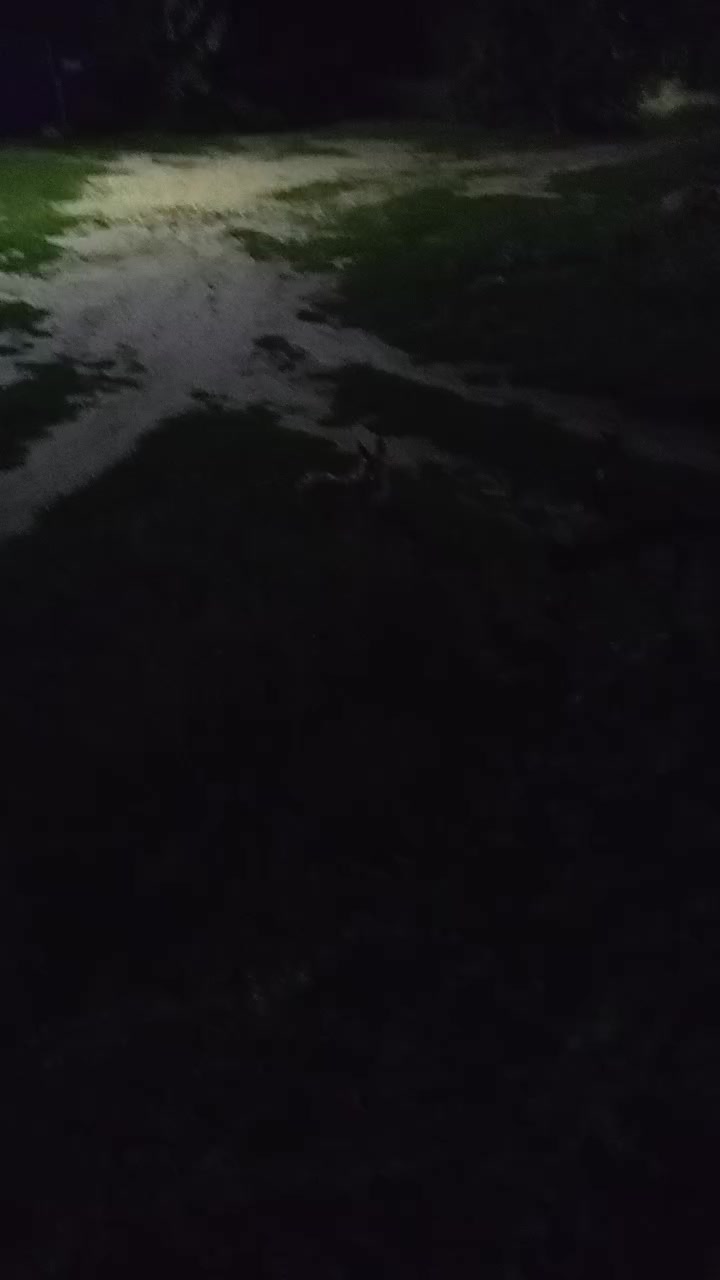 @килька