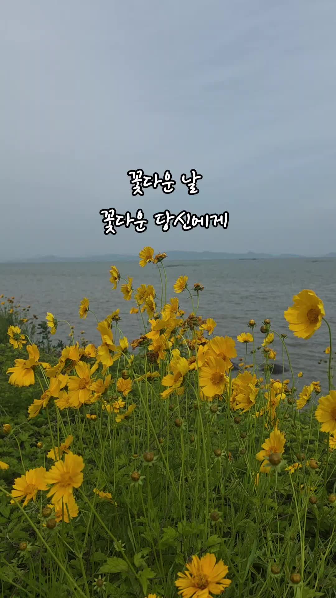 @✨️ 범수생각 ✨