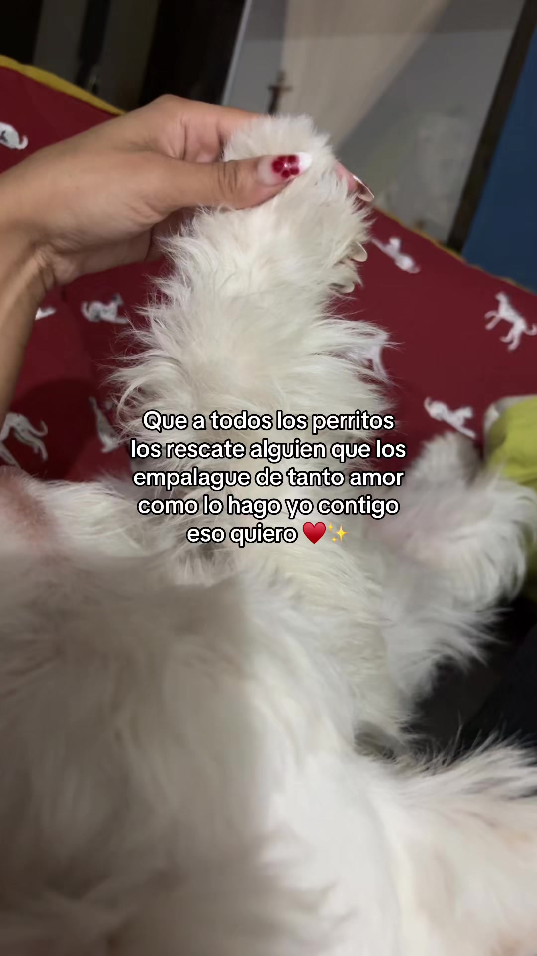 @Dvictoria❤️