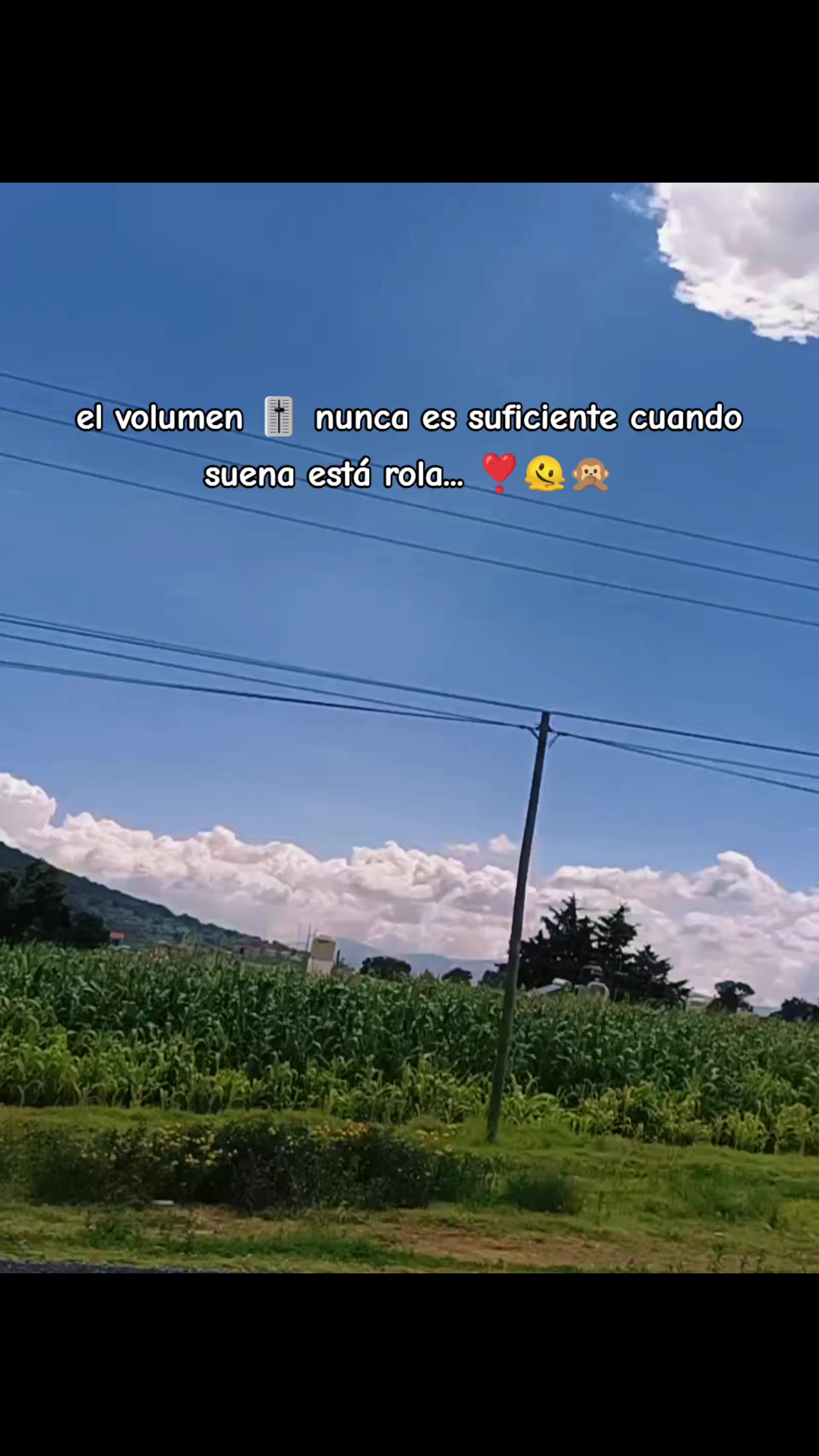 @osito alokadito 🙃🧸