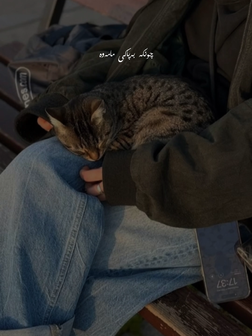 @تیـانـا❤🐈