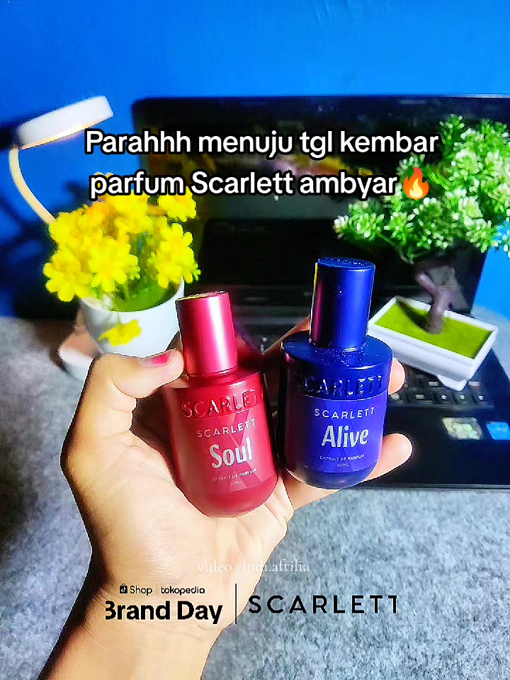 @Spal Spil by Rind✨