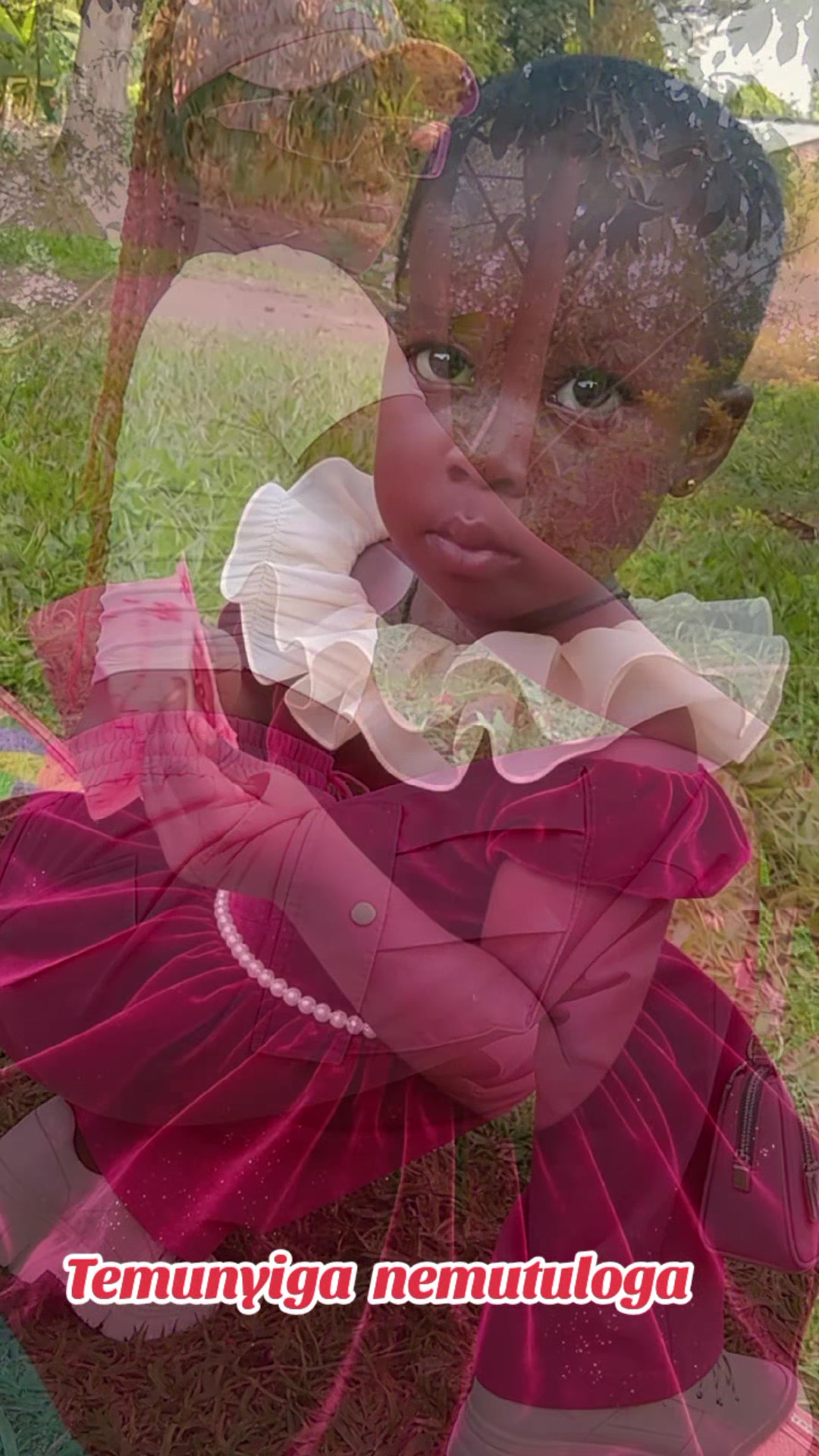 @teddy256