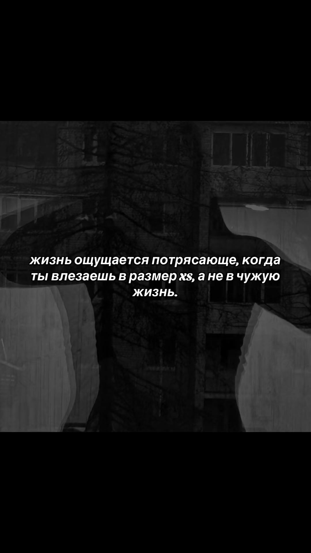 @vashchenko.al