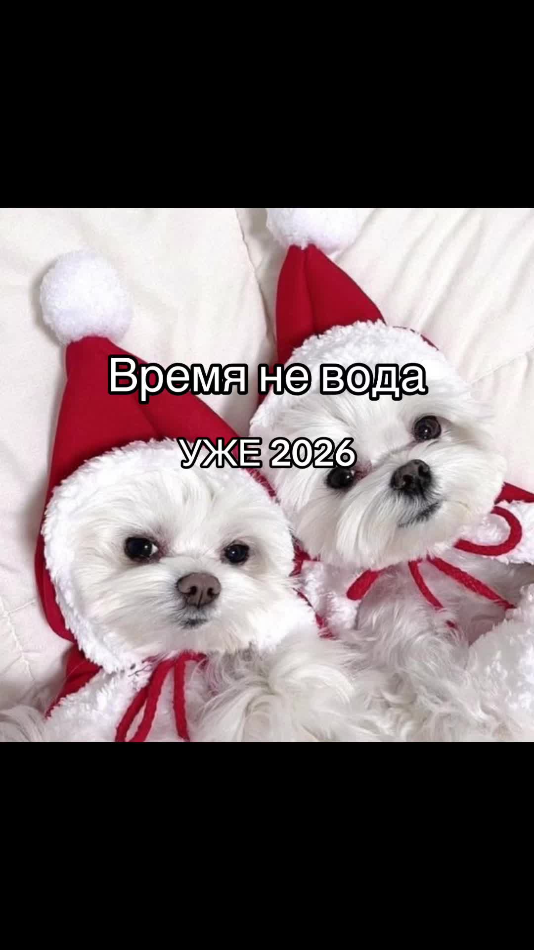 @Shanelka