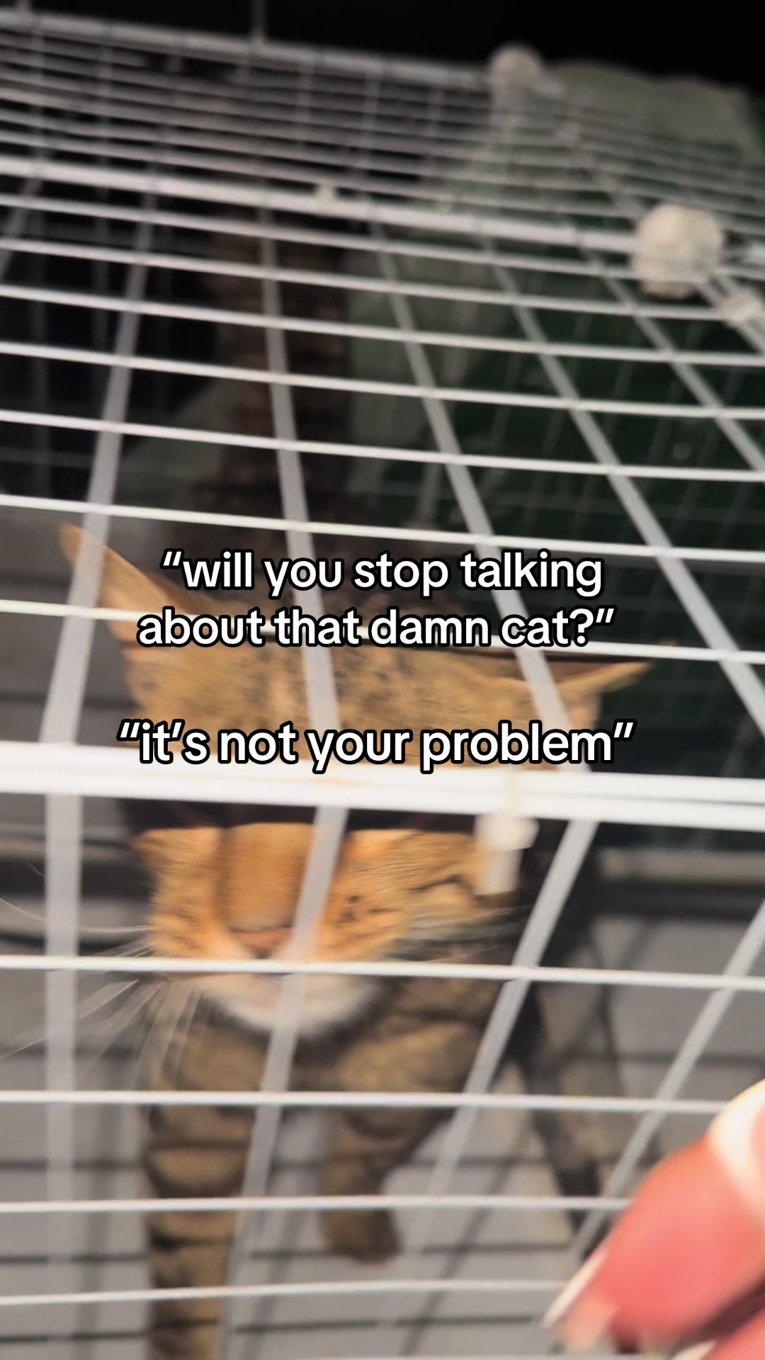 @lady & bugs
