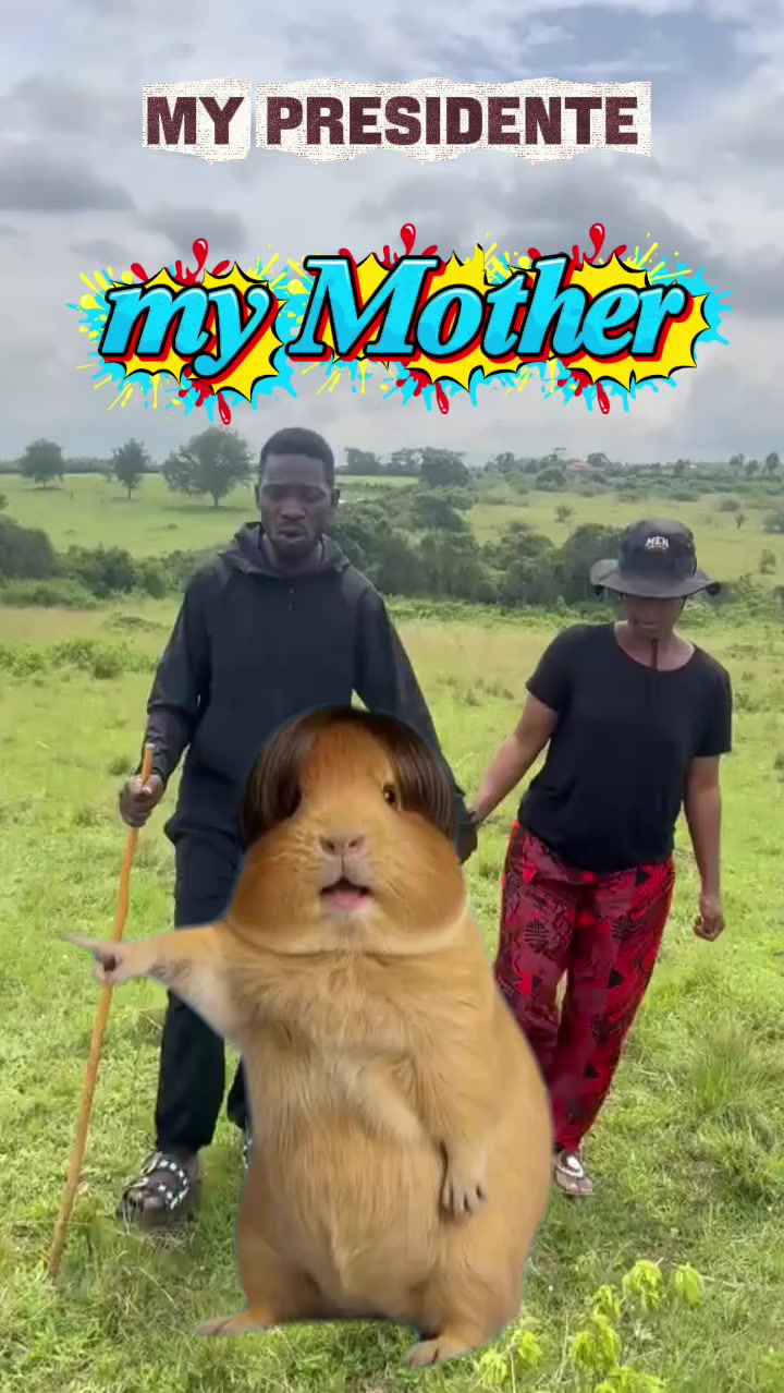 @muwala wa KYAGULANYI sentamu