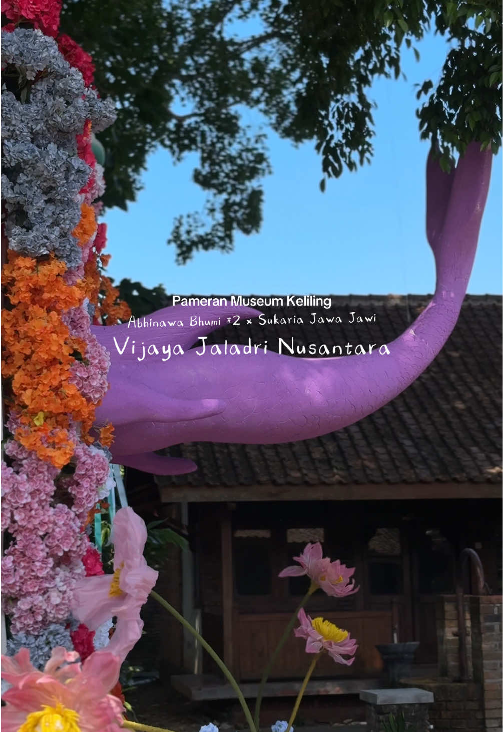 @salma violy ⋆˚✿˖°