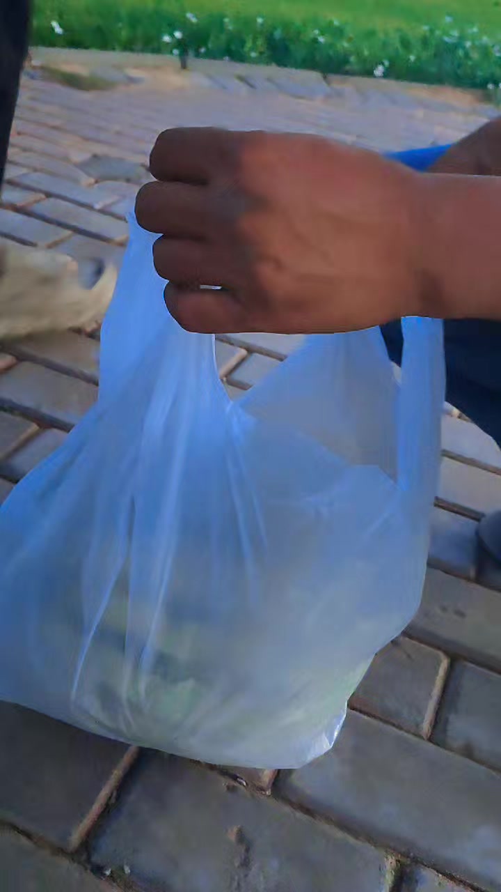 @CHONCHOL ______Vai