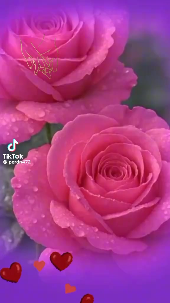 @laibarani
