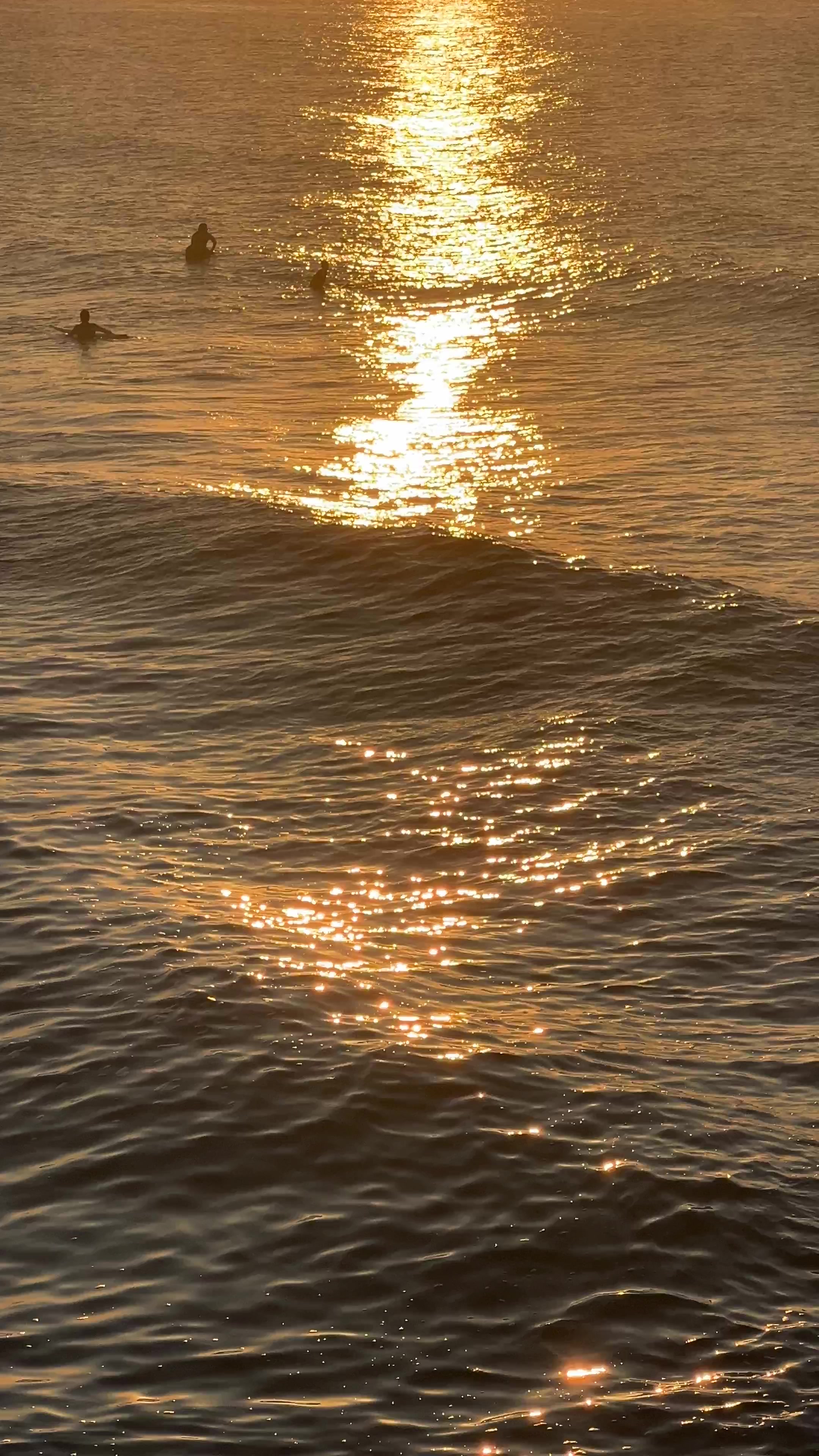 @Nicole Surf + Travel