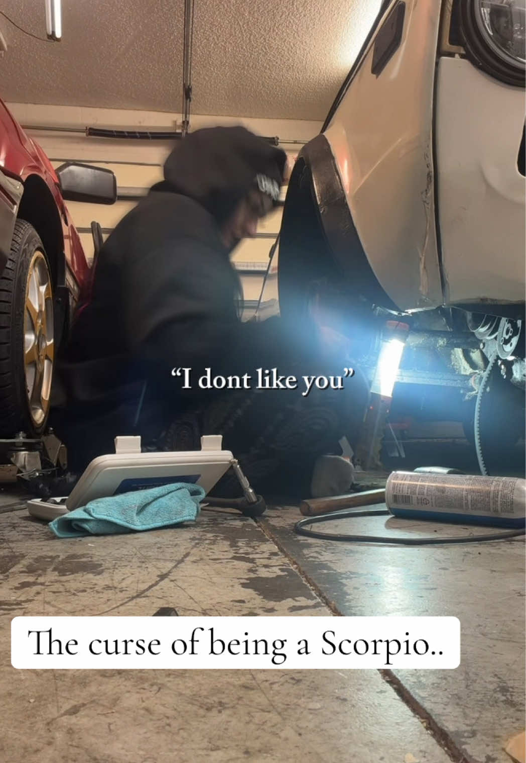 @Cabbybaby666