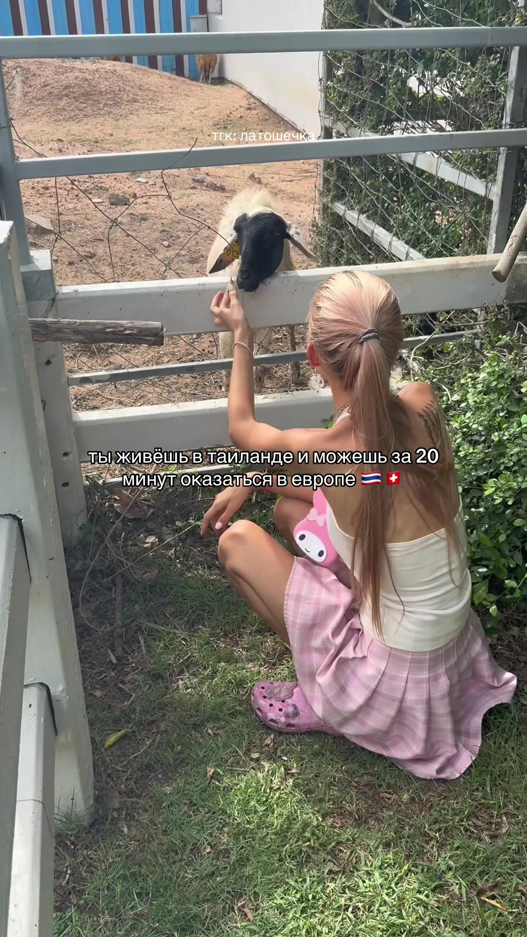 @тгк: латошечка