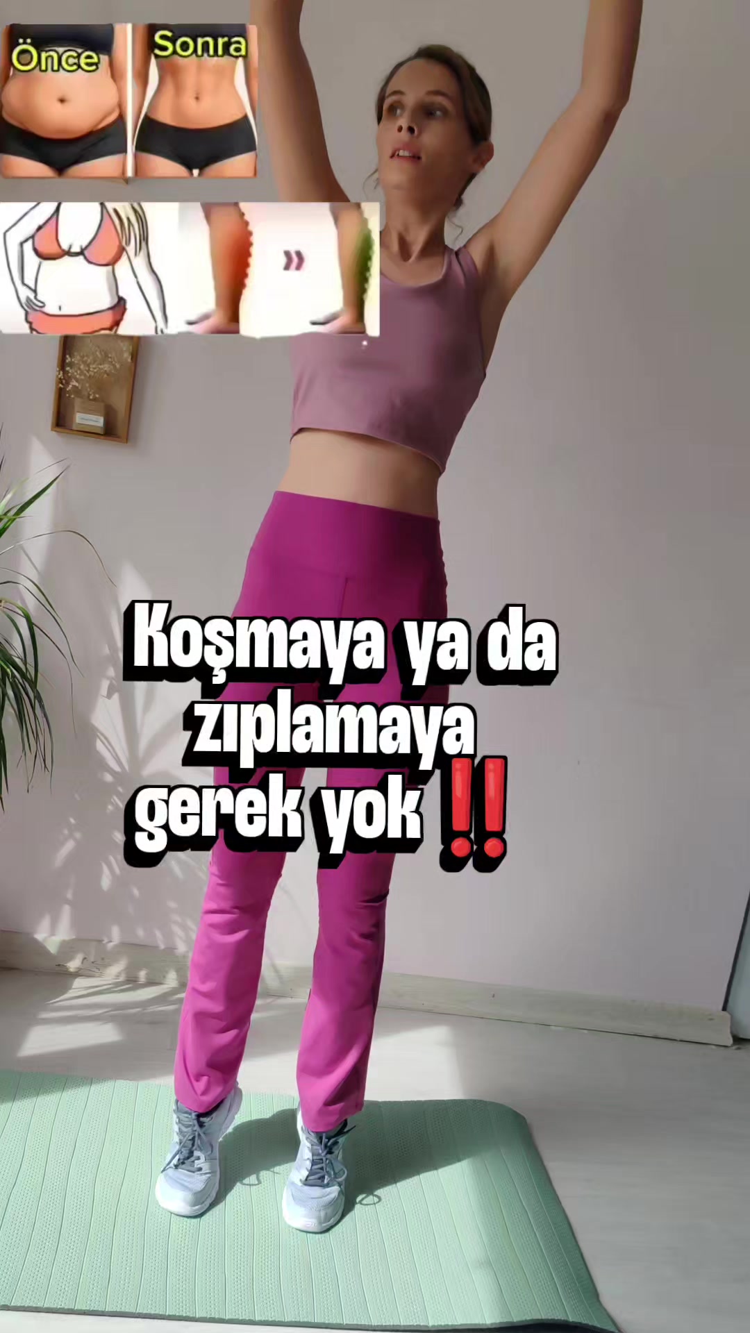 @ipekmori