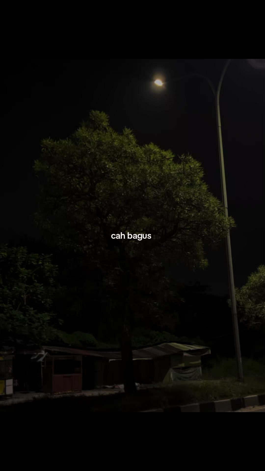 @𝐀𝐃𝐈𝐓 | 𝐓'𝐖𝐑𝐆