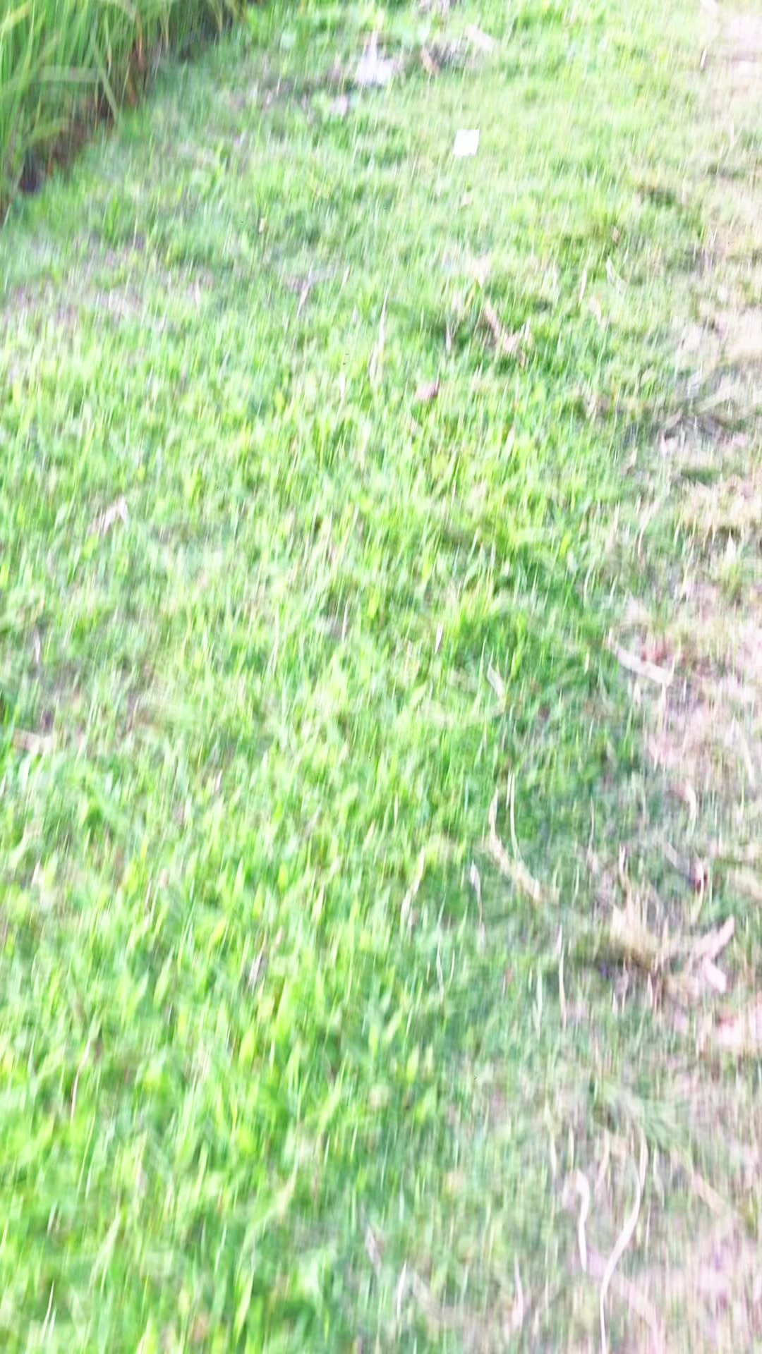 @প্রকৃতি প্রেমিক। 🌄🏞️