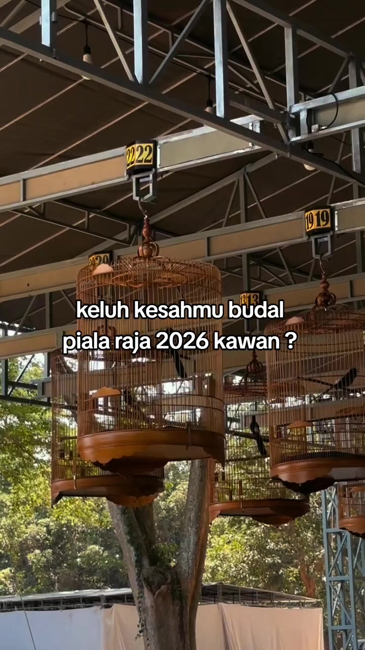 @Zulll x IIEC