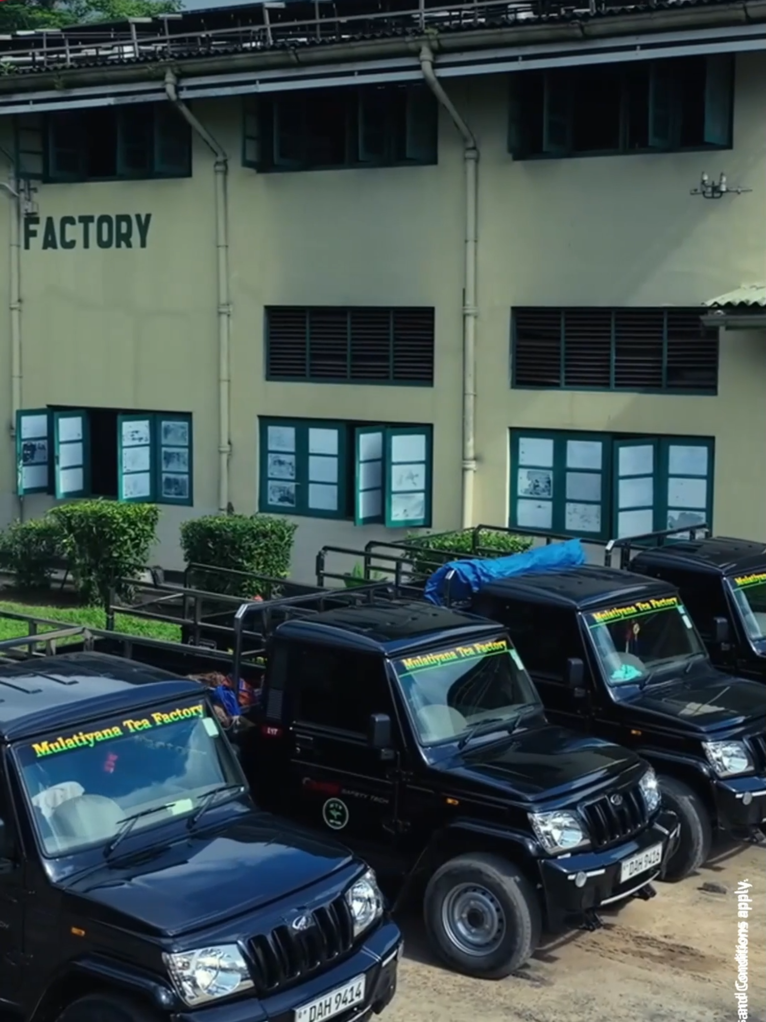 @Ideal Mahindra