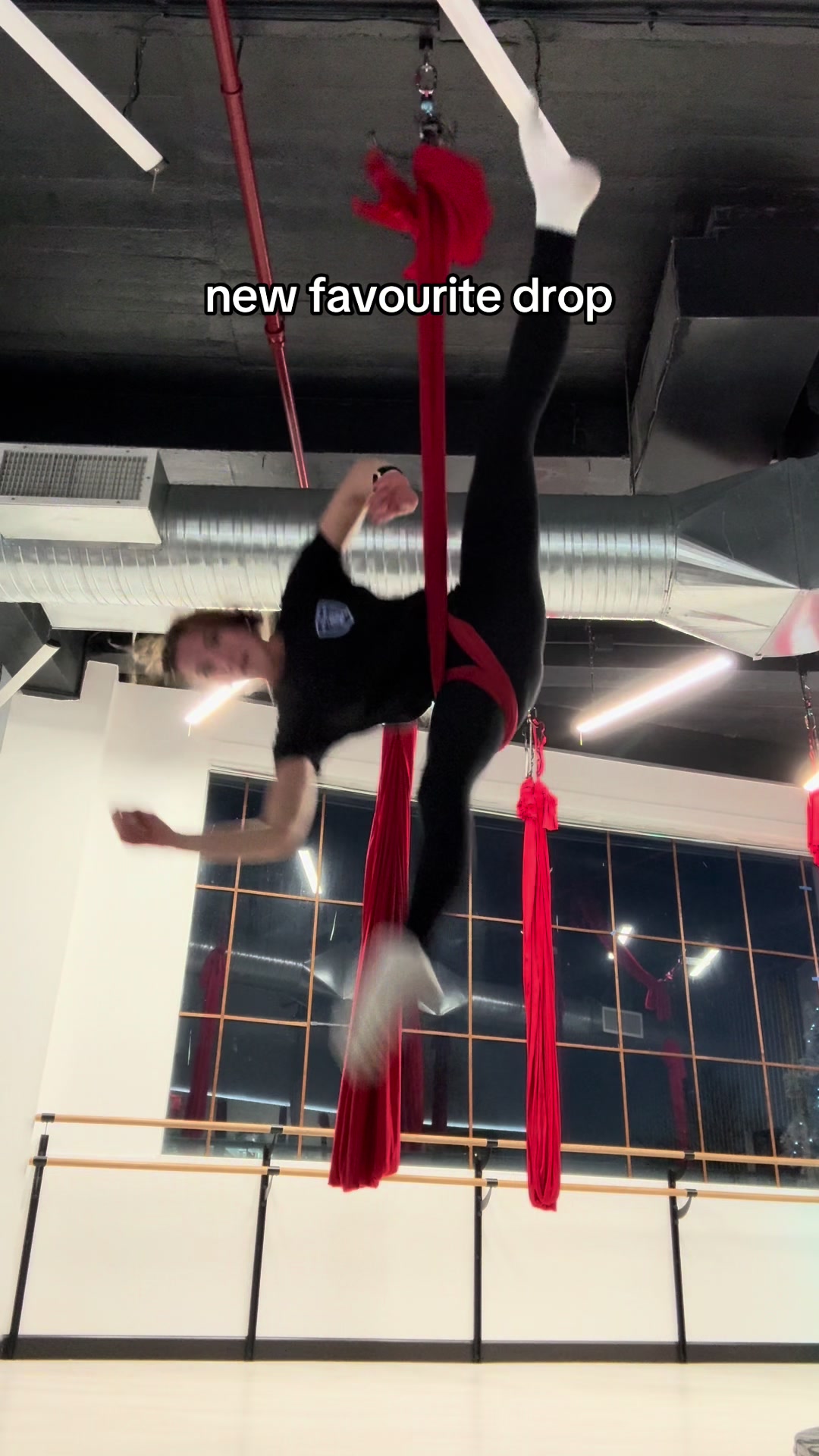 @eliz.aerial