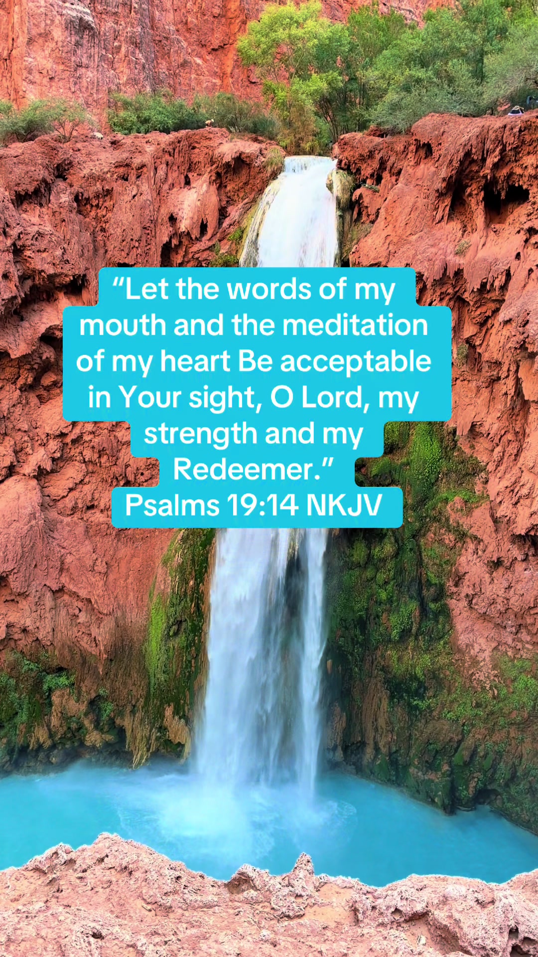 @All Nations Tribes & Tongues