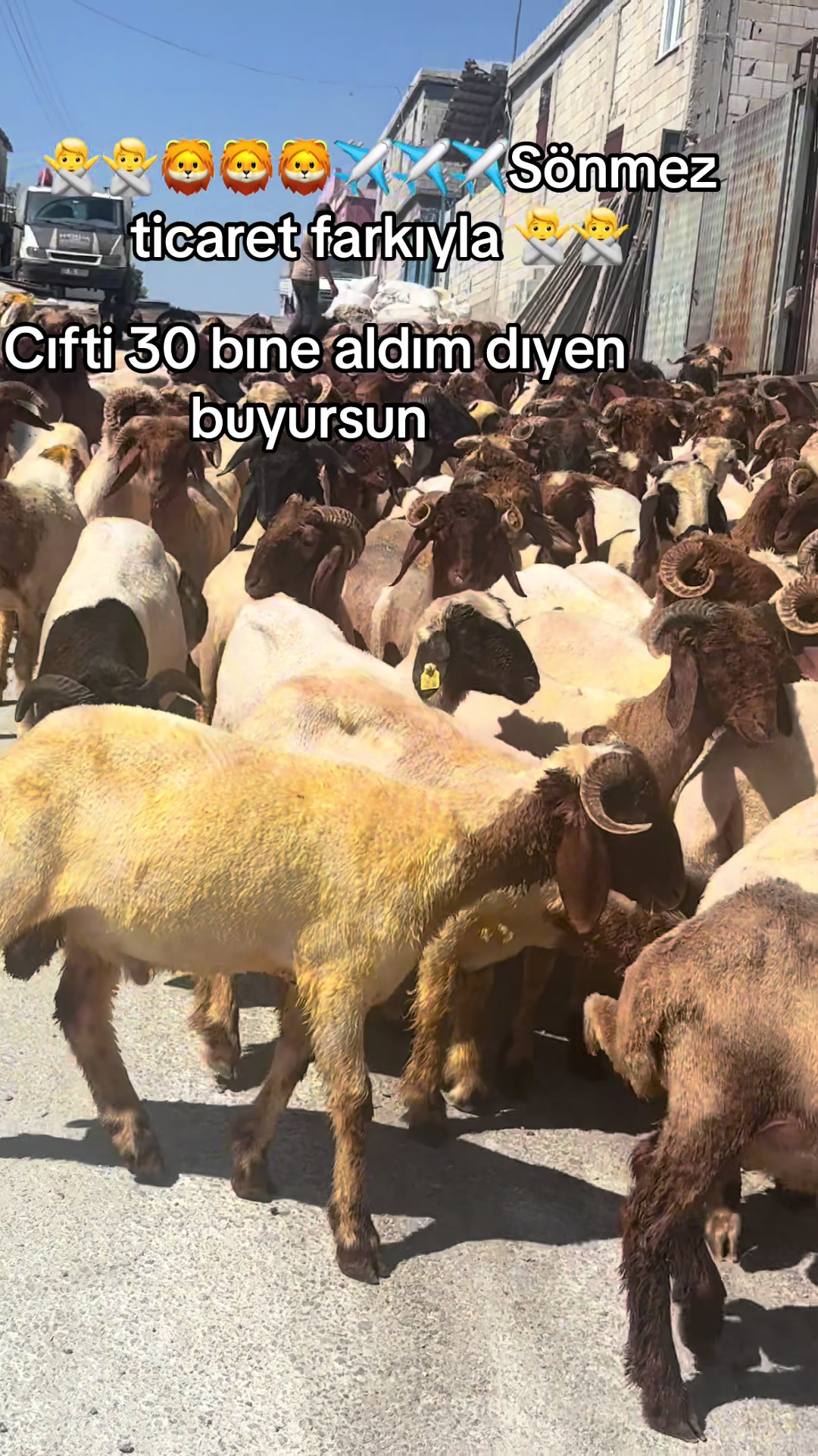 @Ahmet S&ouml;nmez