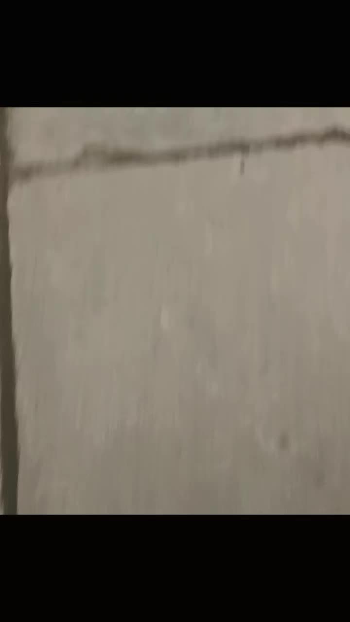 @ᴹⁱˢˢшахина࿐