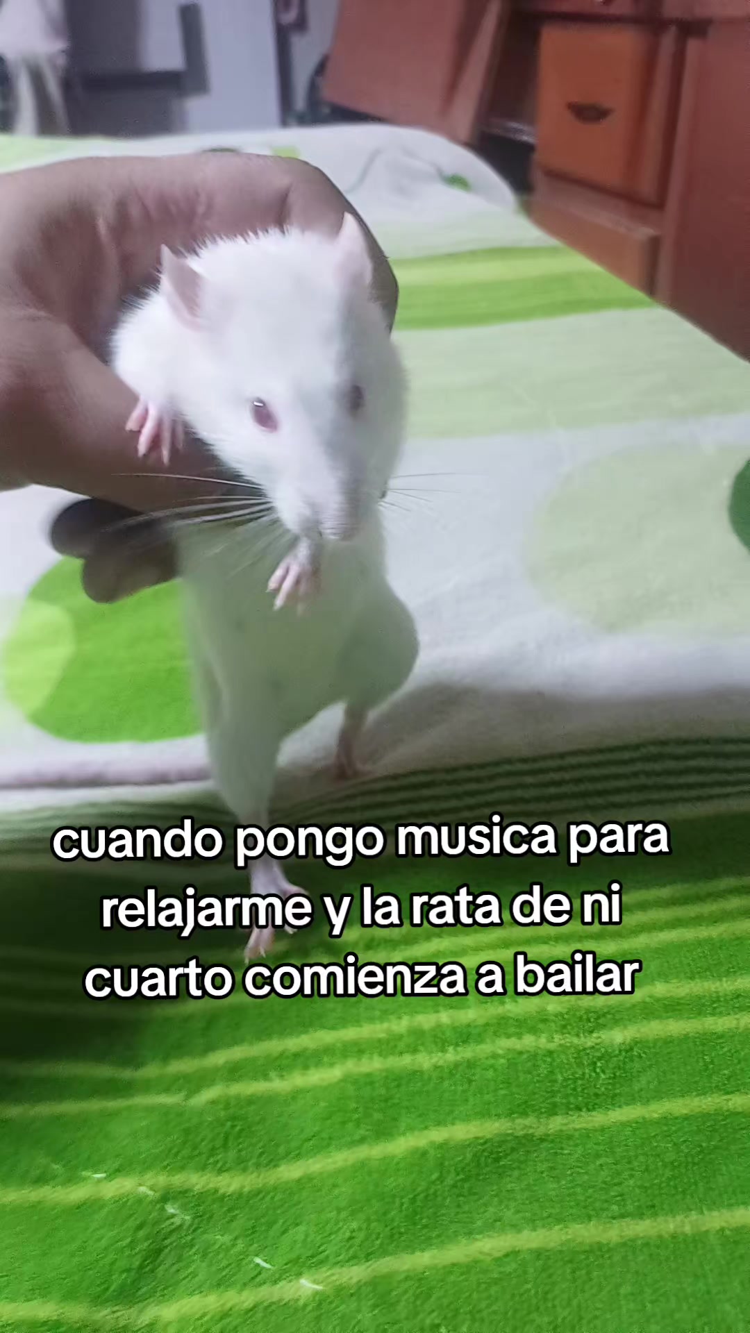 @EltioBaki