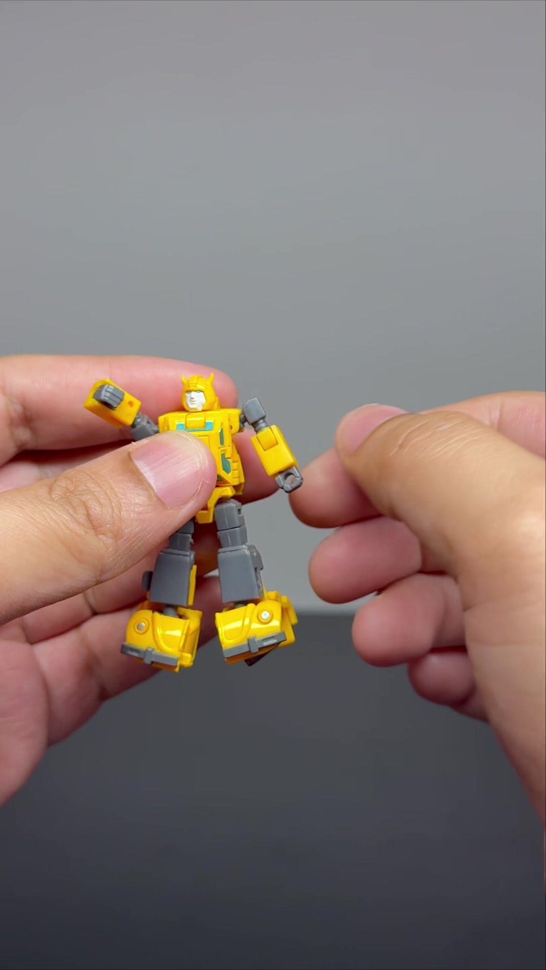 @Chopper Toys