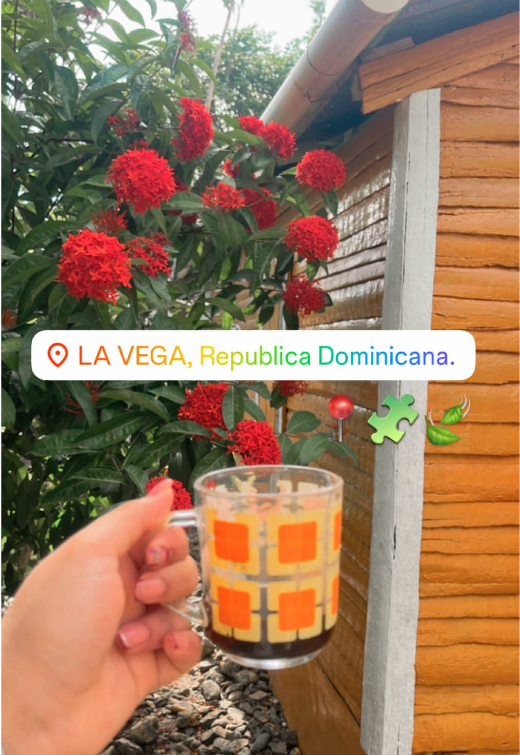 @Yaribel Pérez