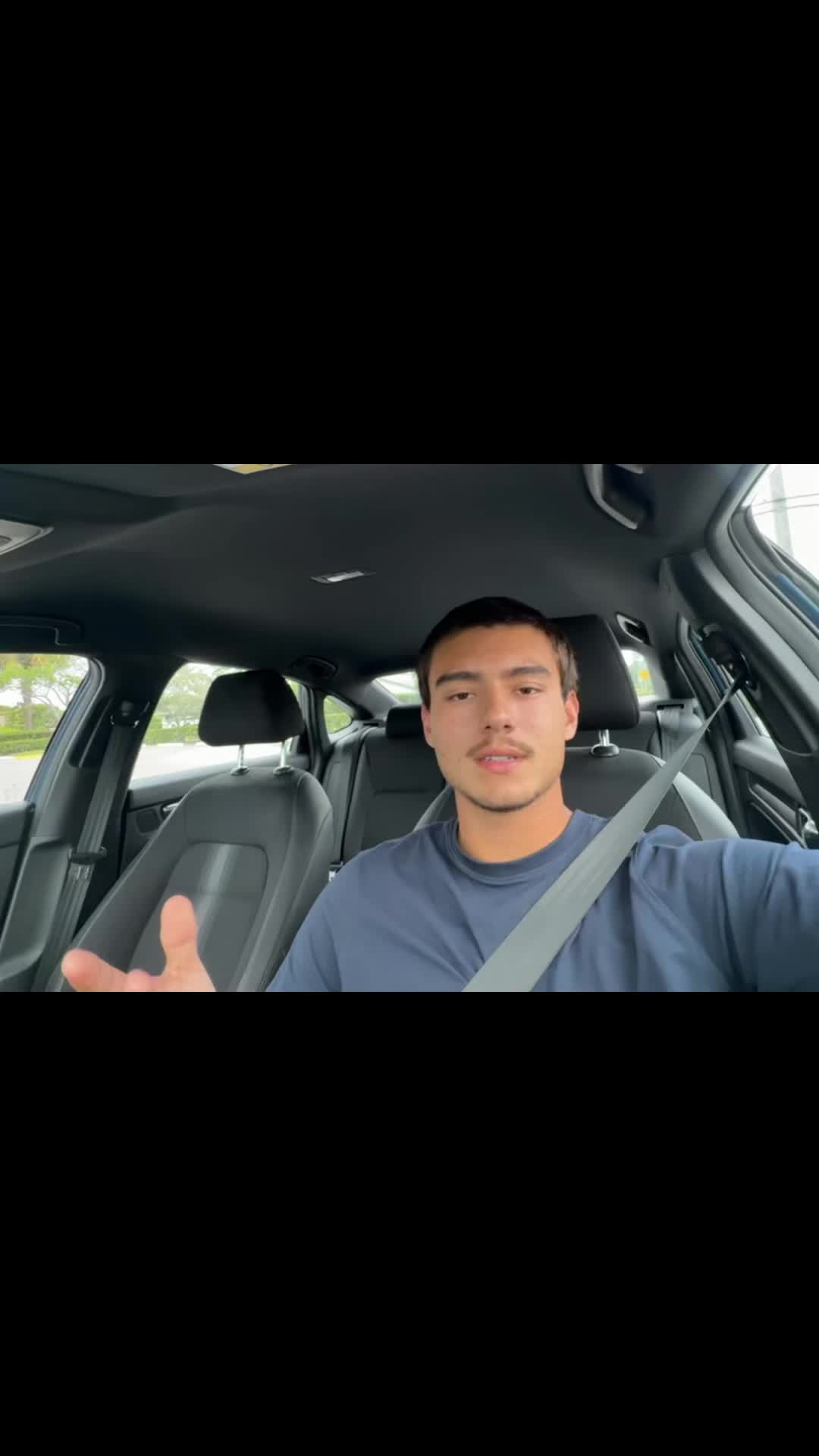 @mendiolaenusa