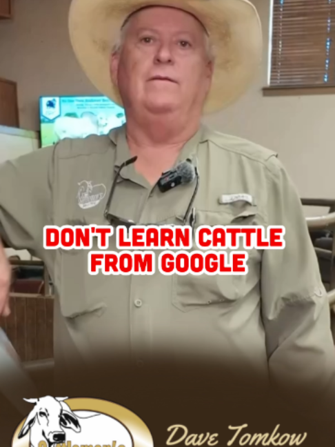@Cattlemen’s Livestock Market