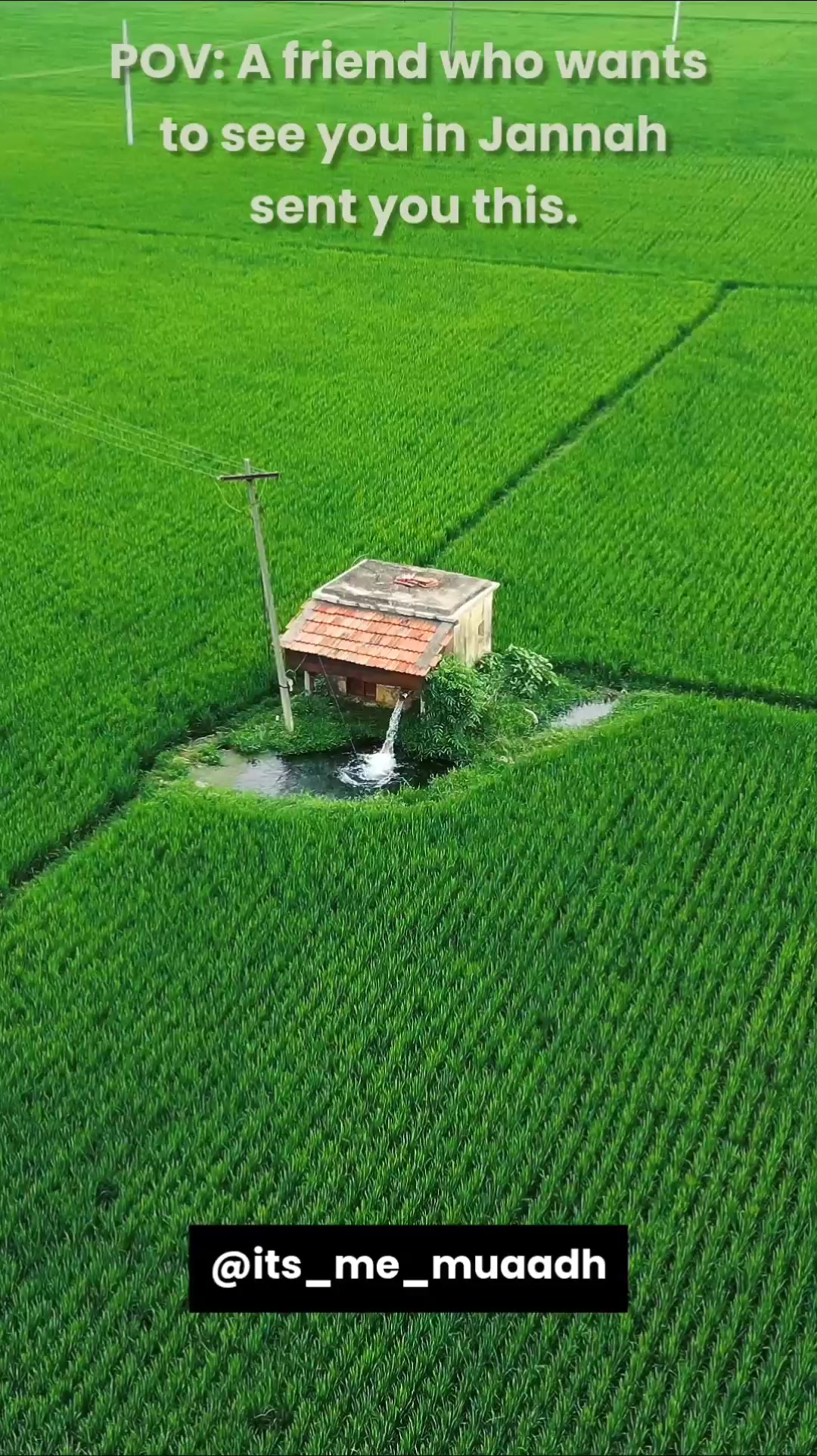 @𝗜𝘁'𝘀 𝗠𝗲 𝗠𝗨𝗔𝗔𝗗𝗛