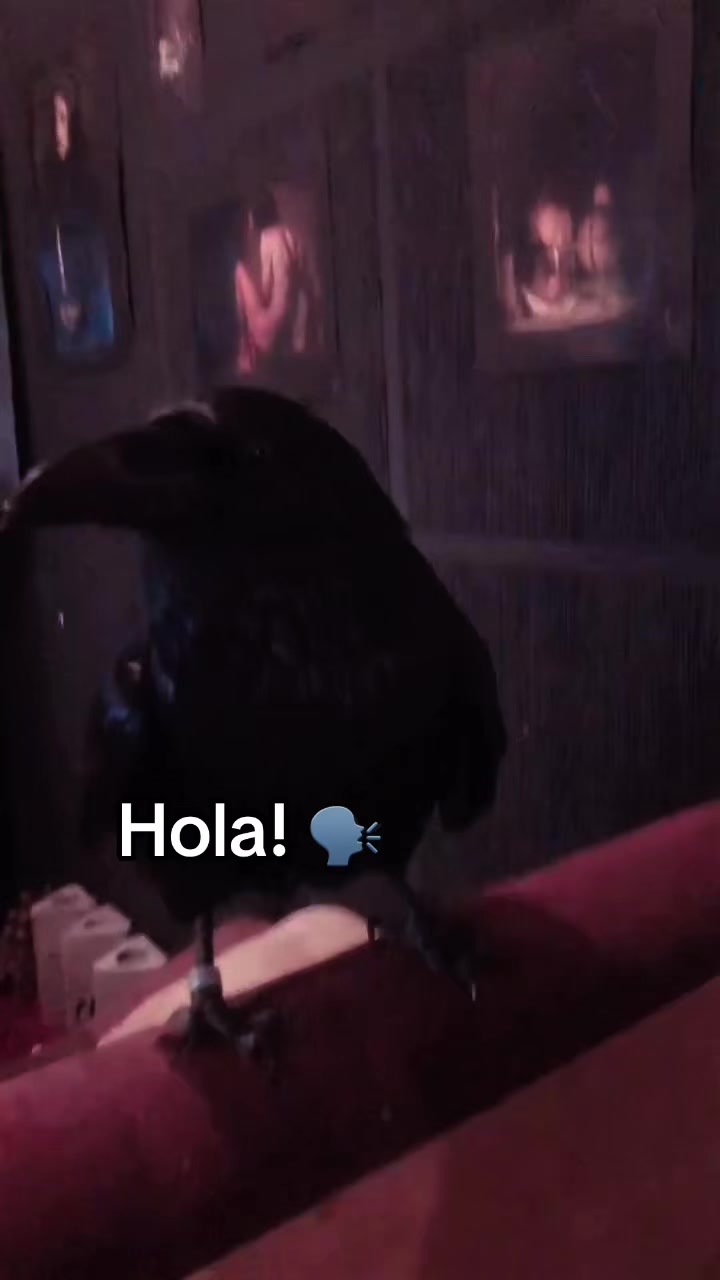 @Montserrat Valenzuela