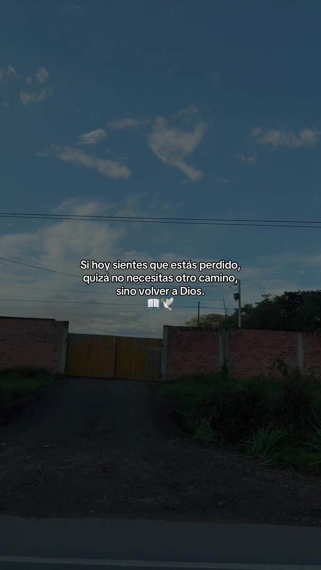 @Gatocix 🐱