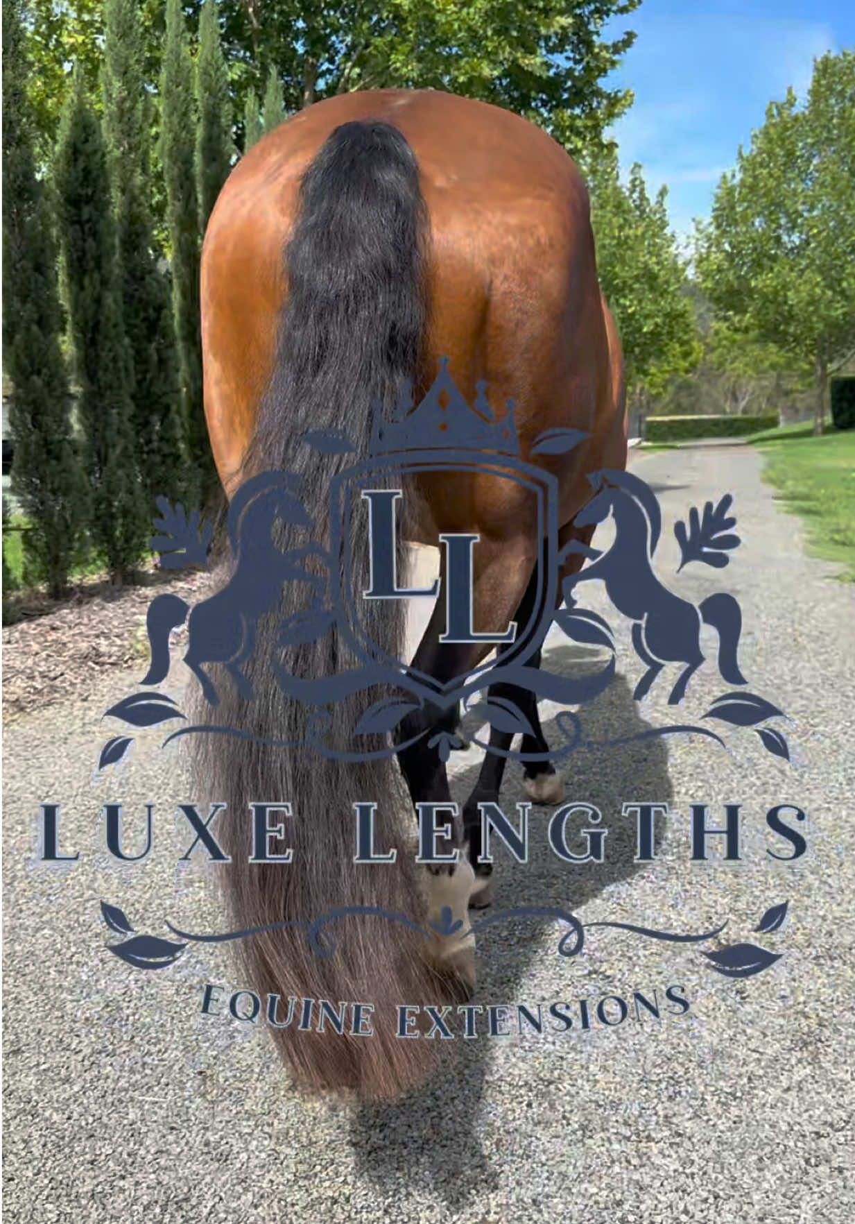 @Luxe Lengths Equine Extensions