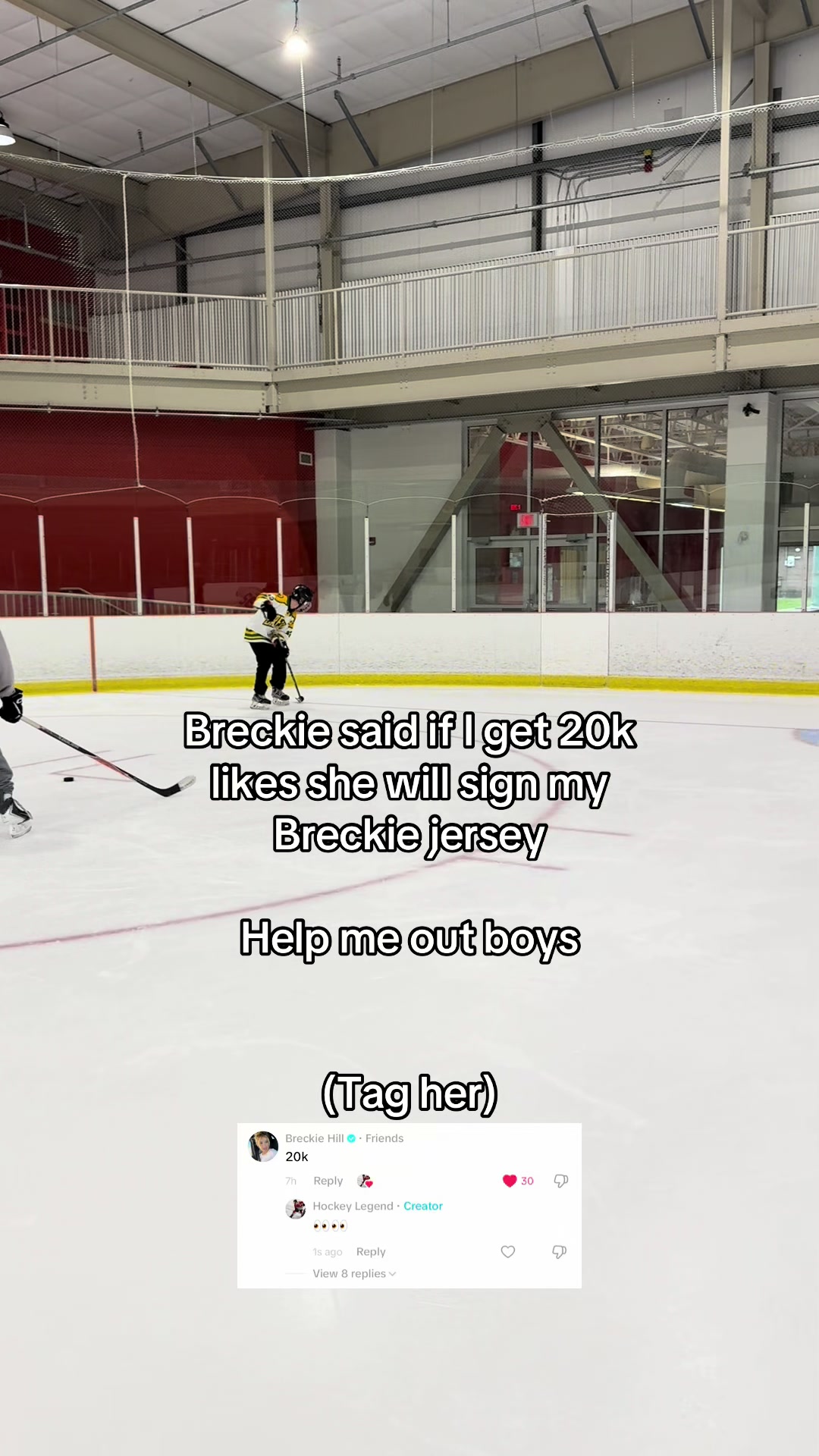 @Hockey Legend