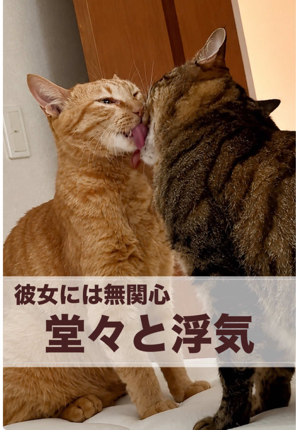 @さっことおちょ
