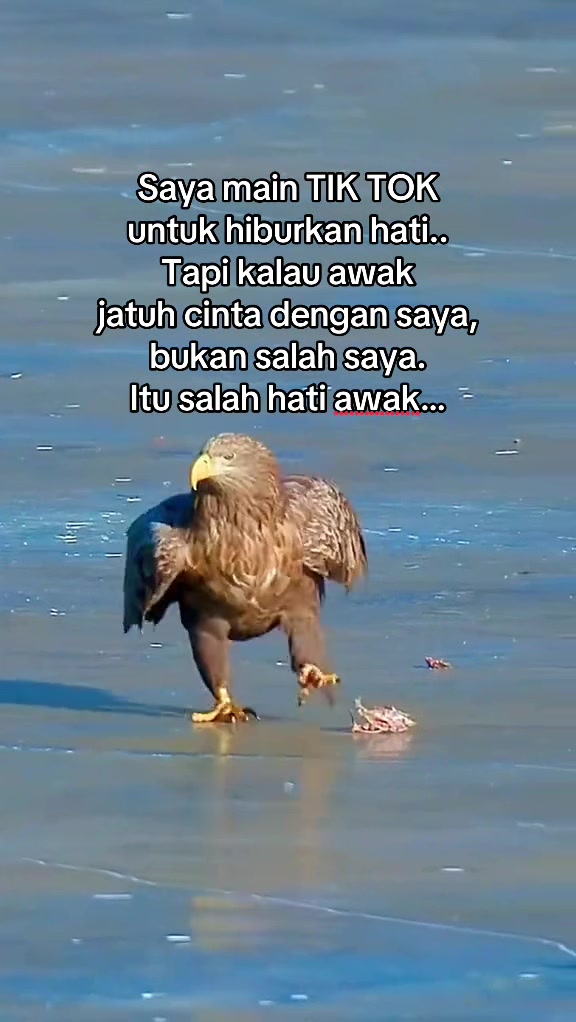 @Analia Kim