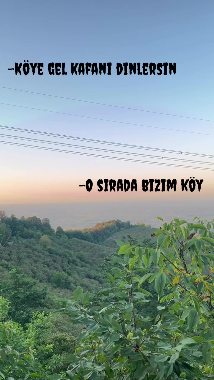 @Rabia Yıldız