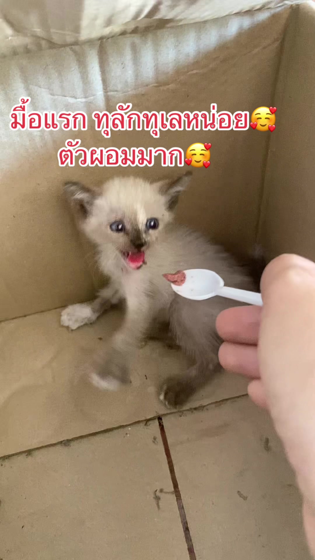 @ป้าข้างบ้าน🙄🙄